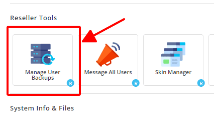Hướng dẫn phục hồi dữ liệu cho các user trong tài khoản Reseller DirectAdmin 14 truy cập vào reseller tool
