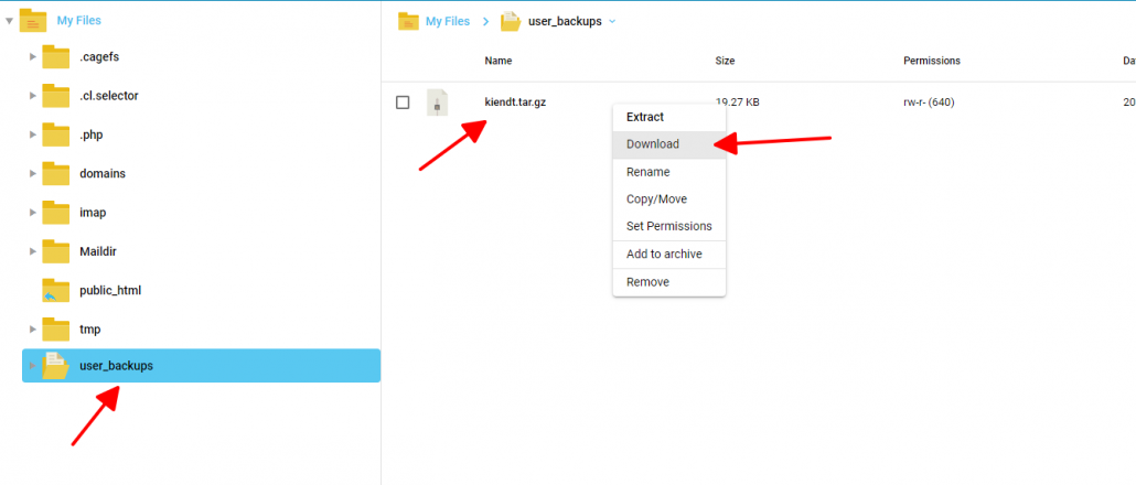 Hướng dẫn backup dữ liệu cho các user trong tài khoản Reseller DirectAdmin 25 download về máy