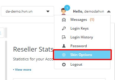 Thay đổi giao diện Direct Admin 10 lựa chọn option skin