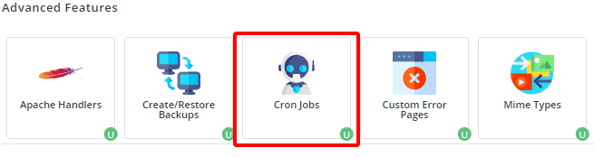 Hướng dẫn tạo Cron Jobs trong DirectAdmin 9 vào tab cron jobs trong directadmin