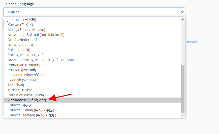 Hướng dẫn đổi ngôn ngữ cPanel sang tiếng Việt 13 lựa chọn ngôn ngữ phù hợp
