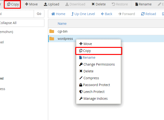 Hướng dẫn sử dụng File Manager trong Cpanel 46 copy file