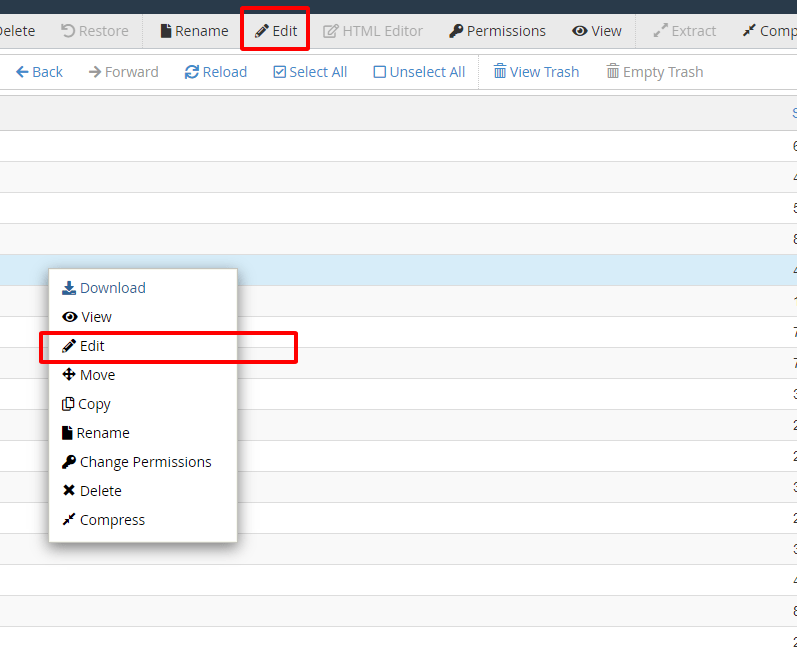 Hướng dẫn sử dụng File Manager trong Cpanel 33 chỉnh sửa file
