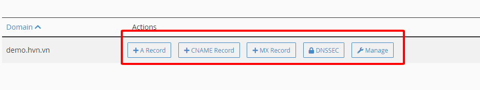 Hướng dẫn cấu hình bản ghi DNS trên cPanel (Zone Editor) 17 các action để cấu hình bản ghi dns