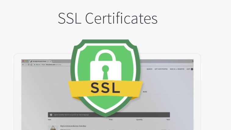 Phát hành lại chứng chỉ SSL 7 chứng chỉ ssl là gì