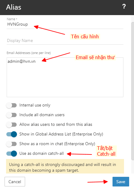 Hướng dẫn sử dụng catch-all email trên Email Business 13 cấu hình catch-all email