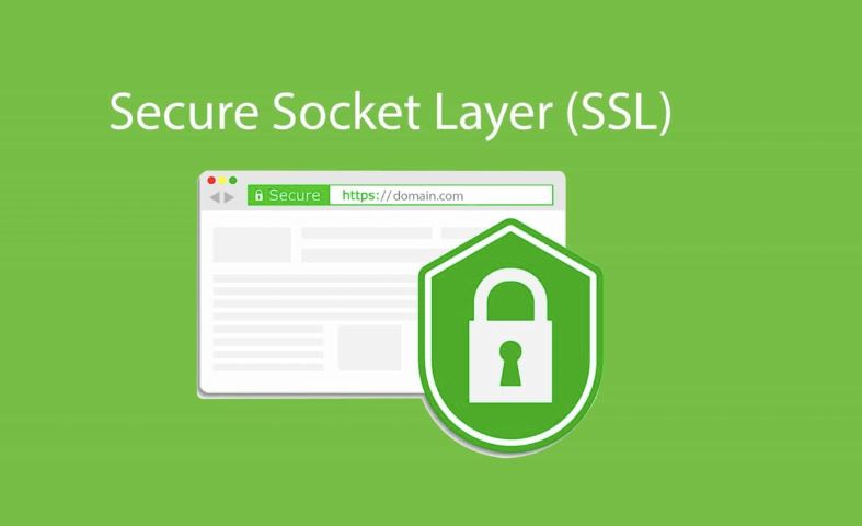 Hướng dẫn gia hạn chứng chỉ SSL 7 tìm hiểu chứng chỉ ssl