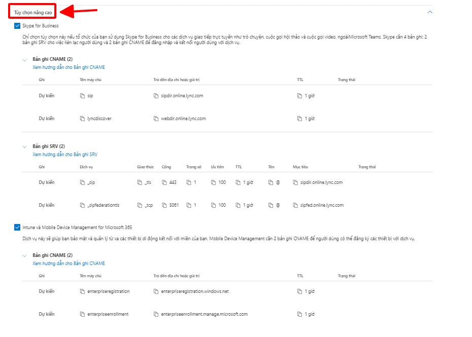Hướng dẫn cài đặt tên miền tổ chức khi sử dụng Microsoft 365 37 tùy chọn nâng cao