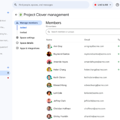 Copy Space Member Email Address In Google Chat