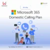 Microsoft 365 Domestic Calling Plan - Monthly 1 Domestic Calling Plan 1.webp