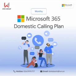 Domestic Calling Plan 1.webp