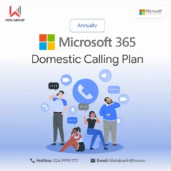 Domestic Calling Plan.webp