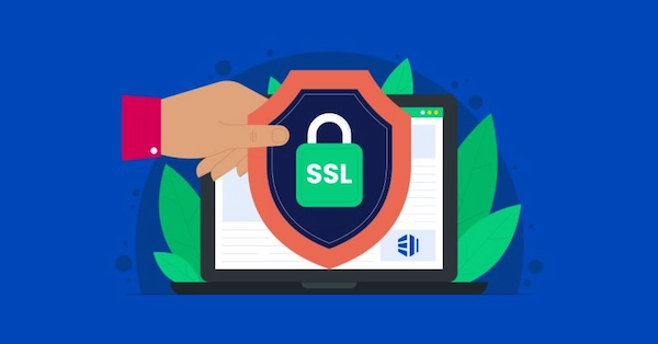 Doanh Nghiep Nao Nen Dung Ssl