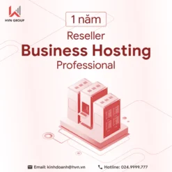 Hosting_rbh_professional_1.webp