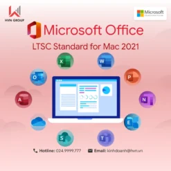 Office 1.webp