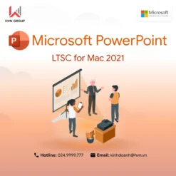 Powerpoint1.webp