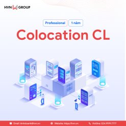 Professional   1 Năm (1)