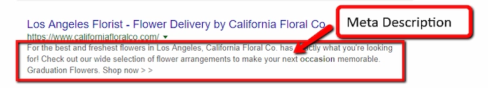Meta Descriptions