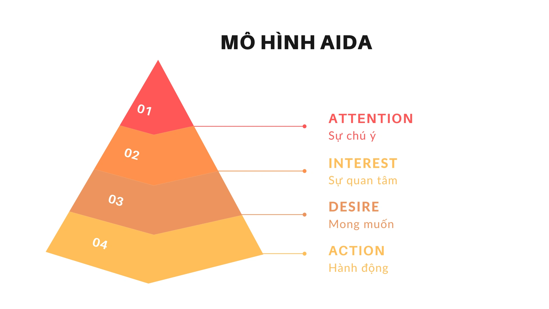 Mô hình AIDA là gì? Lợi ích và Vai trò đặc biệt trong Marketing 14 Khai Niem Mo Hinh Aida
