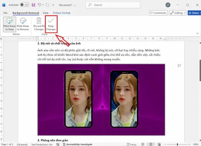 Hướng dẫn xóa nền ảnh trong Word chuyên nghiệp không cần Photoshop 18 Chủ Thể Bị Xóa Nhầm Hoặc Bị Mất Chi Tiết Khi Xoá Nền ảnh Trong Word (1)