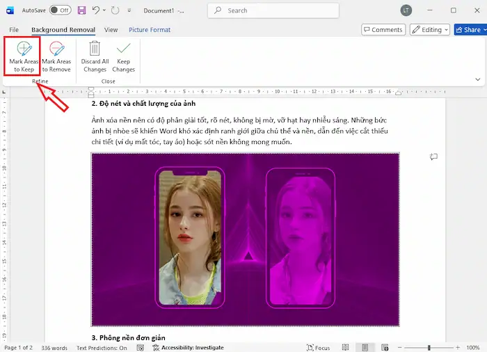 Hướng dẫn xóa nền ảnh trong Word chuyên nghiệp không cần Photoshop 17 Chủ Thể Bị Xóa Nhầm Hoặc Bị Mất Chi Tiết Khi Xoá Nền ảnh Trong Word