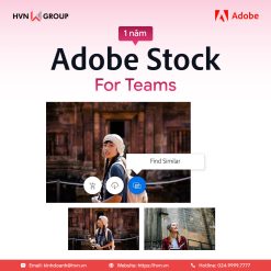 Adobe Stock for teams (Small) - 1 năm