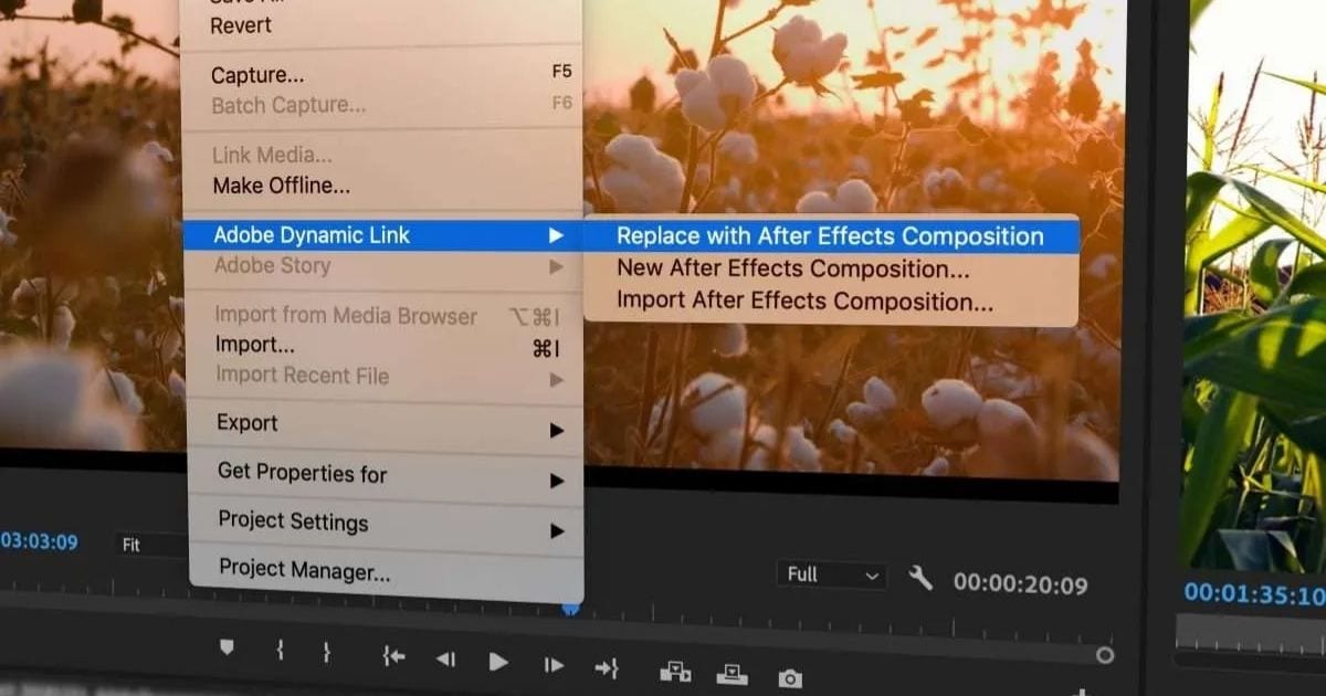 Adobe Creative Cloud All Apps for teams - 1 năm 5 Tối ưu Workflow với Adobe Dynamic Link