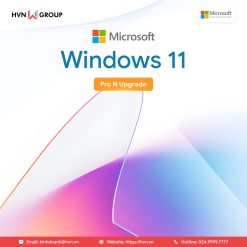 Windows 11 Pro N Upgrade