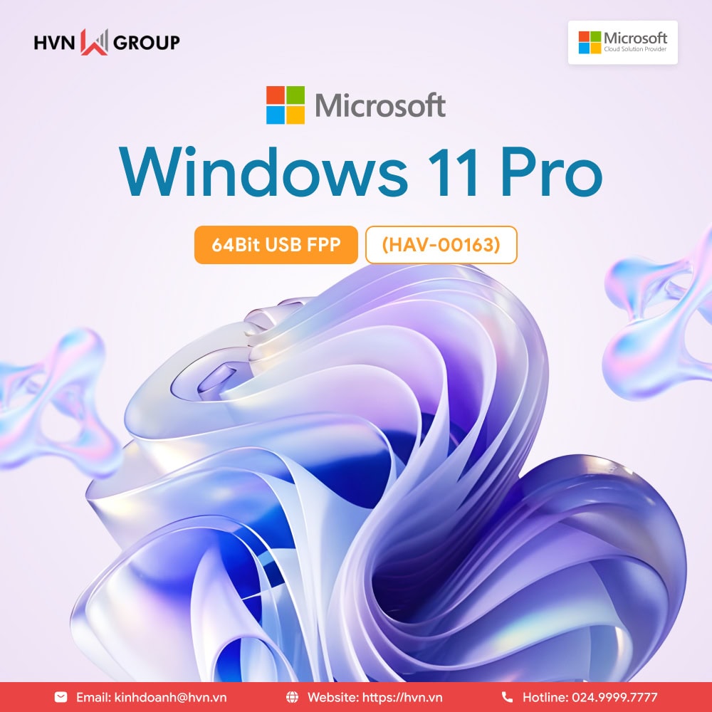 Windows 11 Pro 64Bit USB FPP (HAV-00163) - Vĩnh viễn