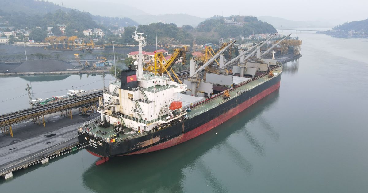 Đào tạo chuyển đổi số vận hành tại Việt Thuận Group 9 Việt Thuận Group và hành trình dẫn đầu ngành vận tải biển
